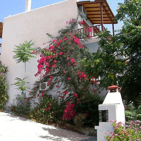 123 Soleil Studios Agia Marina  Exterior foto